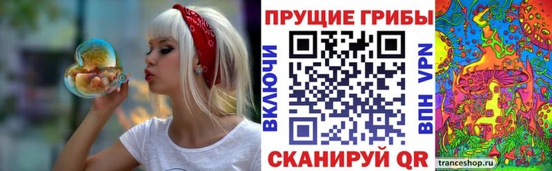 Псилоцибиновые грибы прущие грибы  мега ТОР  Тамбов 