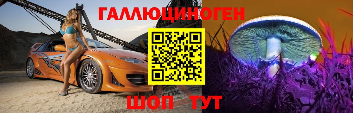 Псилоцибиновые грибы GOLDEN TEACHER  Галлюциногенные грибы MAGIC MUSHROOMS  Вход с VPN  Тамбов 
